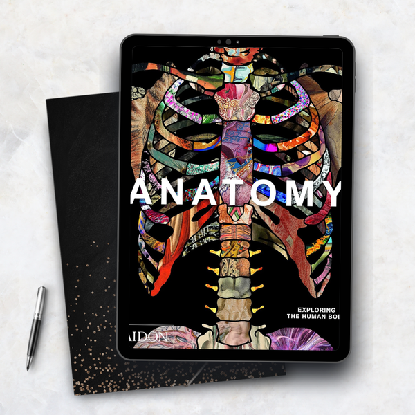 Anatomy Exploring the Human Body