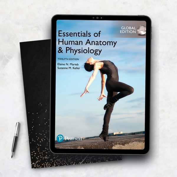 Essentials of Human Anatomy & Physiology, Global Edition 12th Edition
