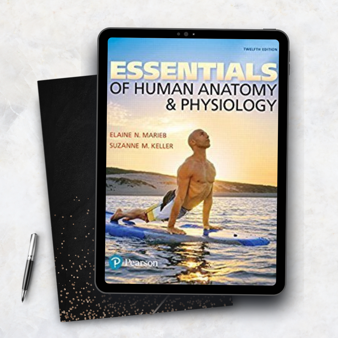 Essentials of Human Anatomy and Physiology, 12 Edition
