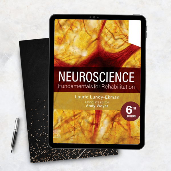 Neuroscience Fundamentals for Rehabilitation 6th Edition